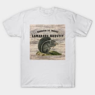 Dark Academia french country scripts woodland animal squirrel T-Shirt